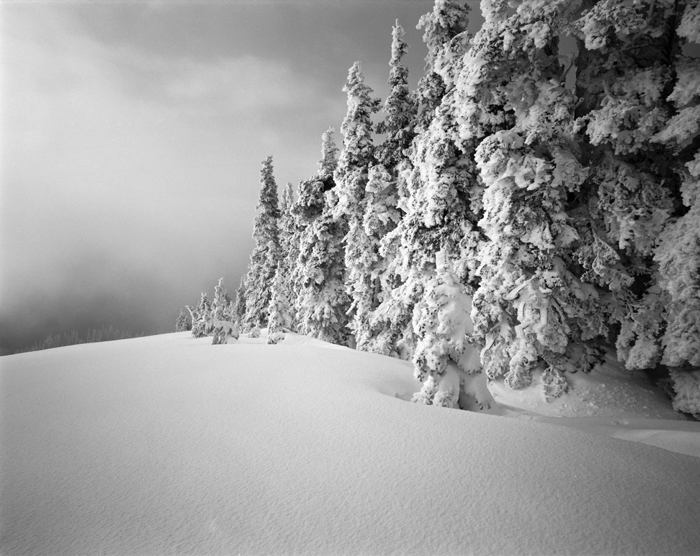 hurricane ridge