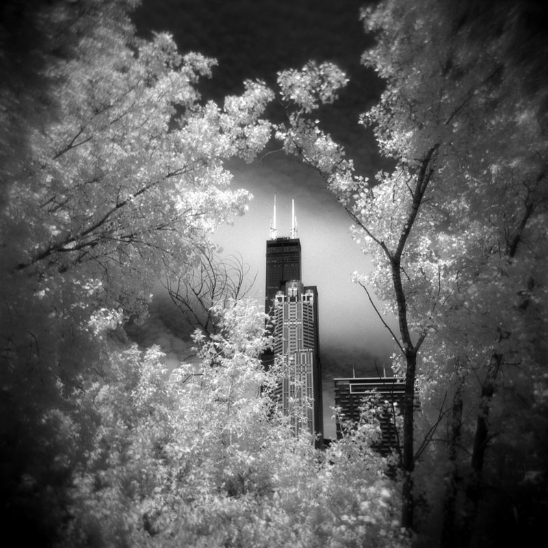 sears holga