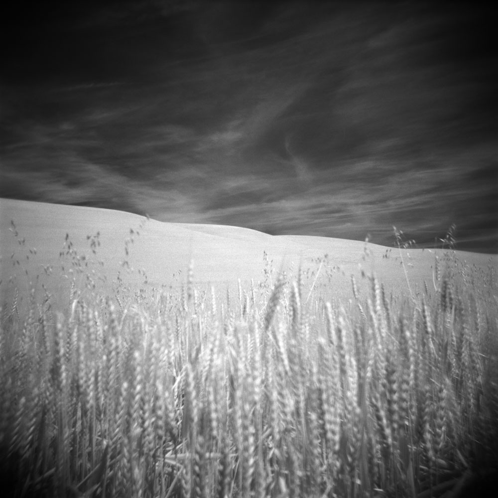 palouse 9