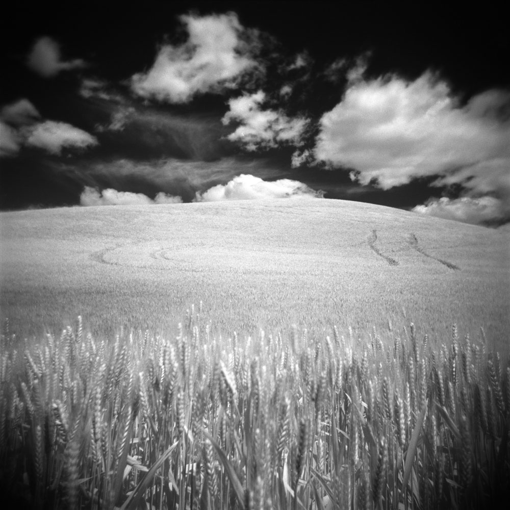 palouse 16