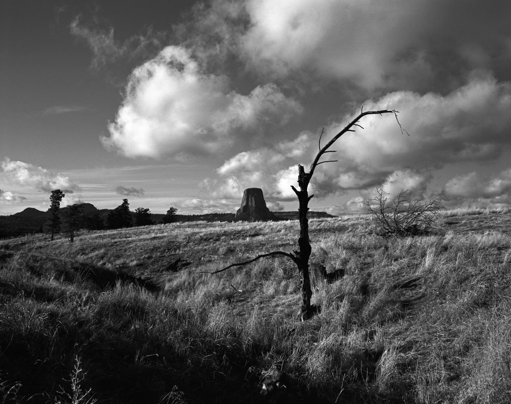 devils tower