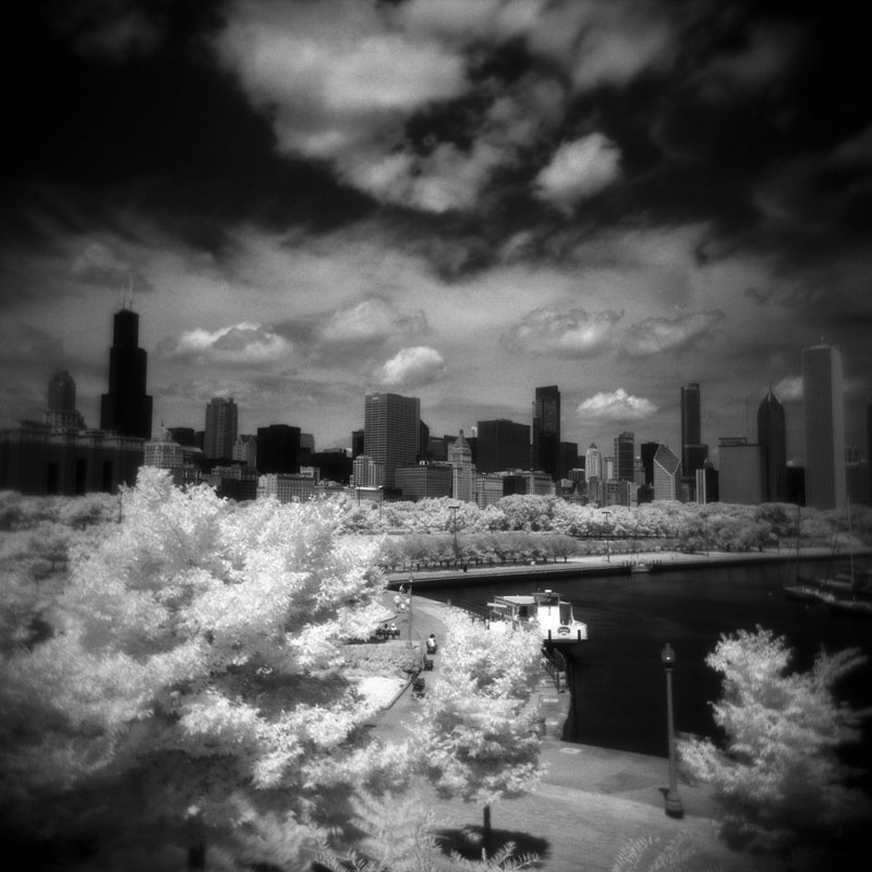 shedd holga